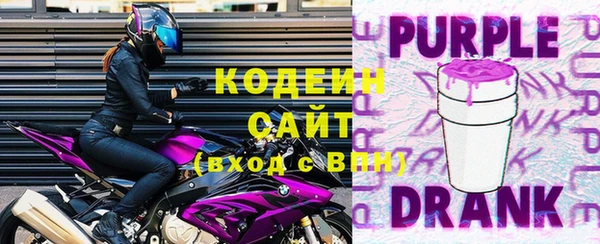 индика Слюдянка