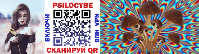 Псилоцибиновые грибы Magic Shrooms  Воркута 